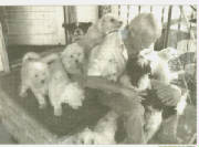 scan0004.jpg