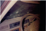 scan0010.jpg